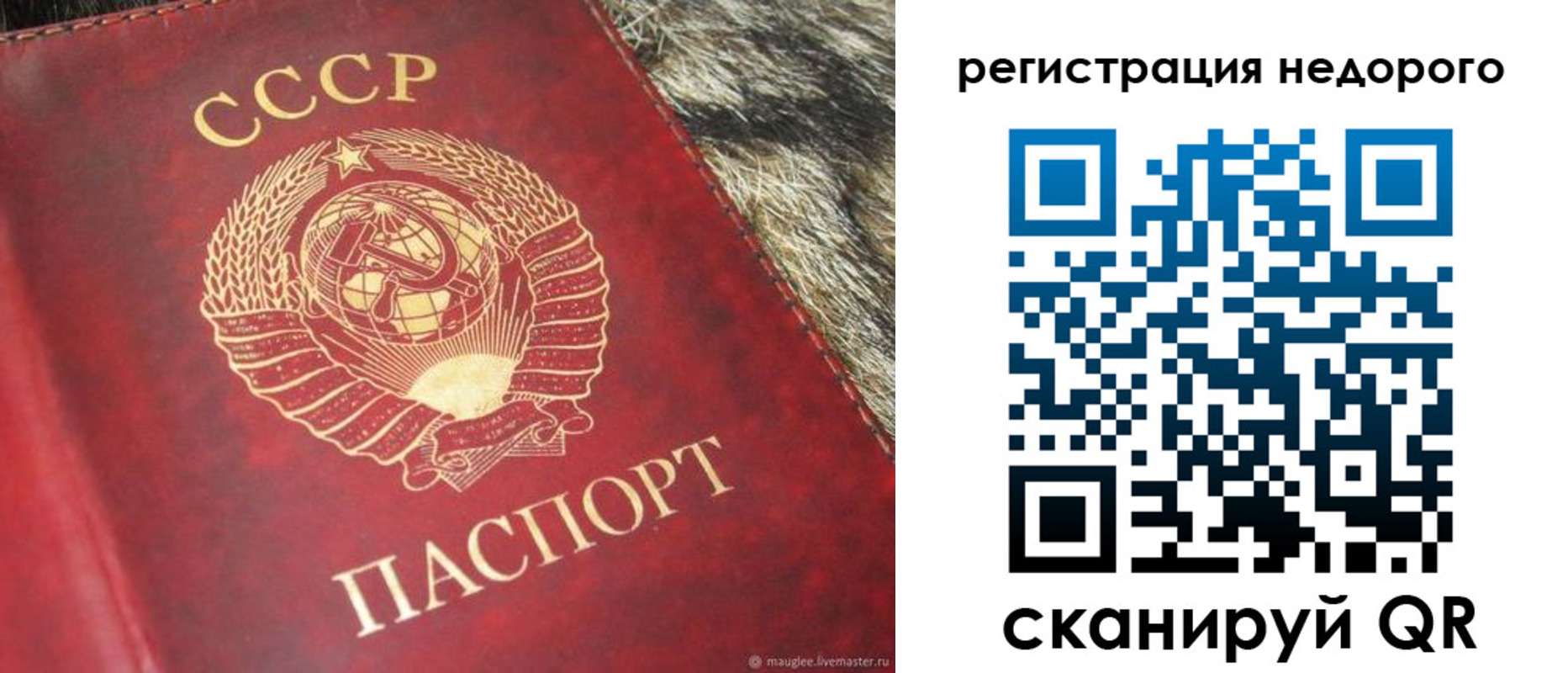 прописка ребенка в Чехове